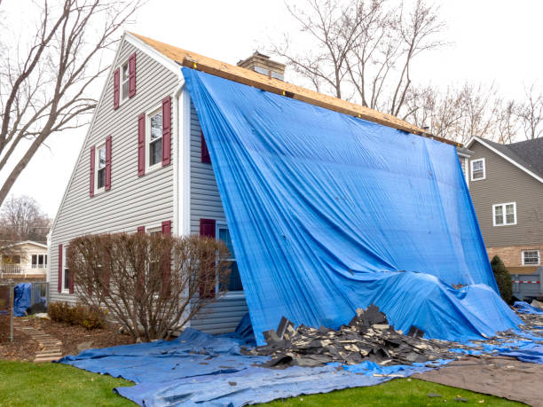 Best Siding Replacement  in Waukee, IA